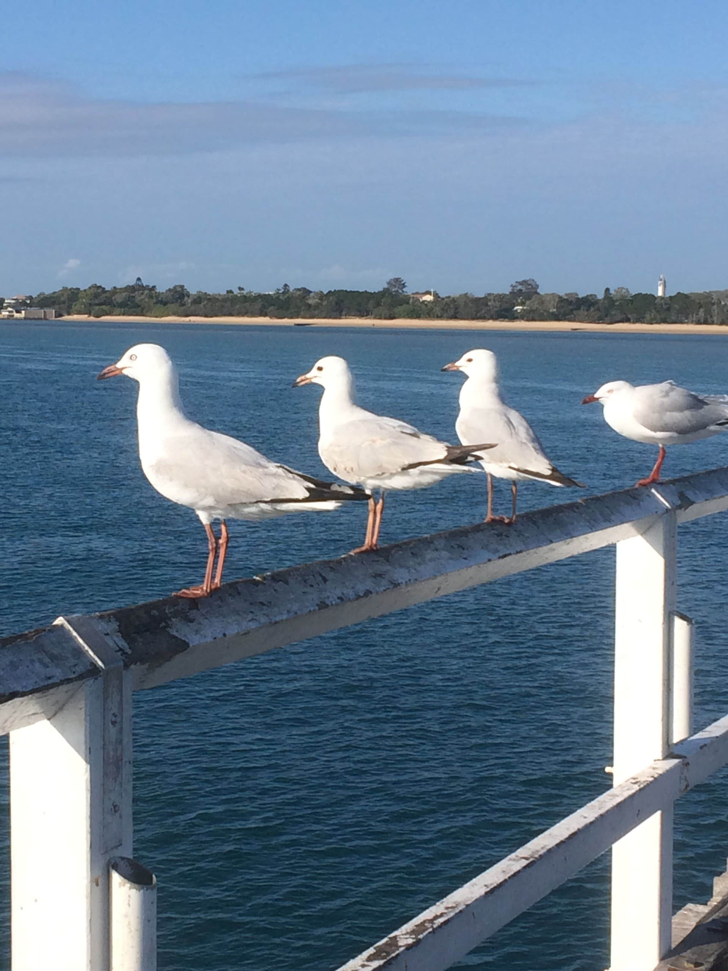 Sanctuary Lakes Fauna Retreat