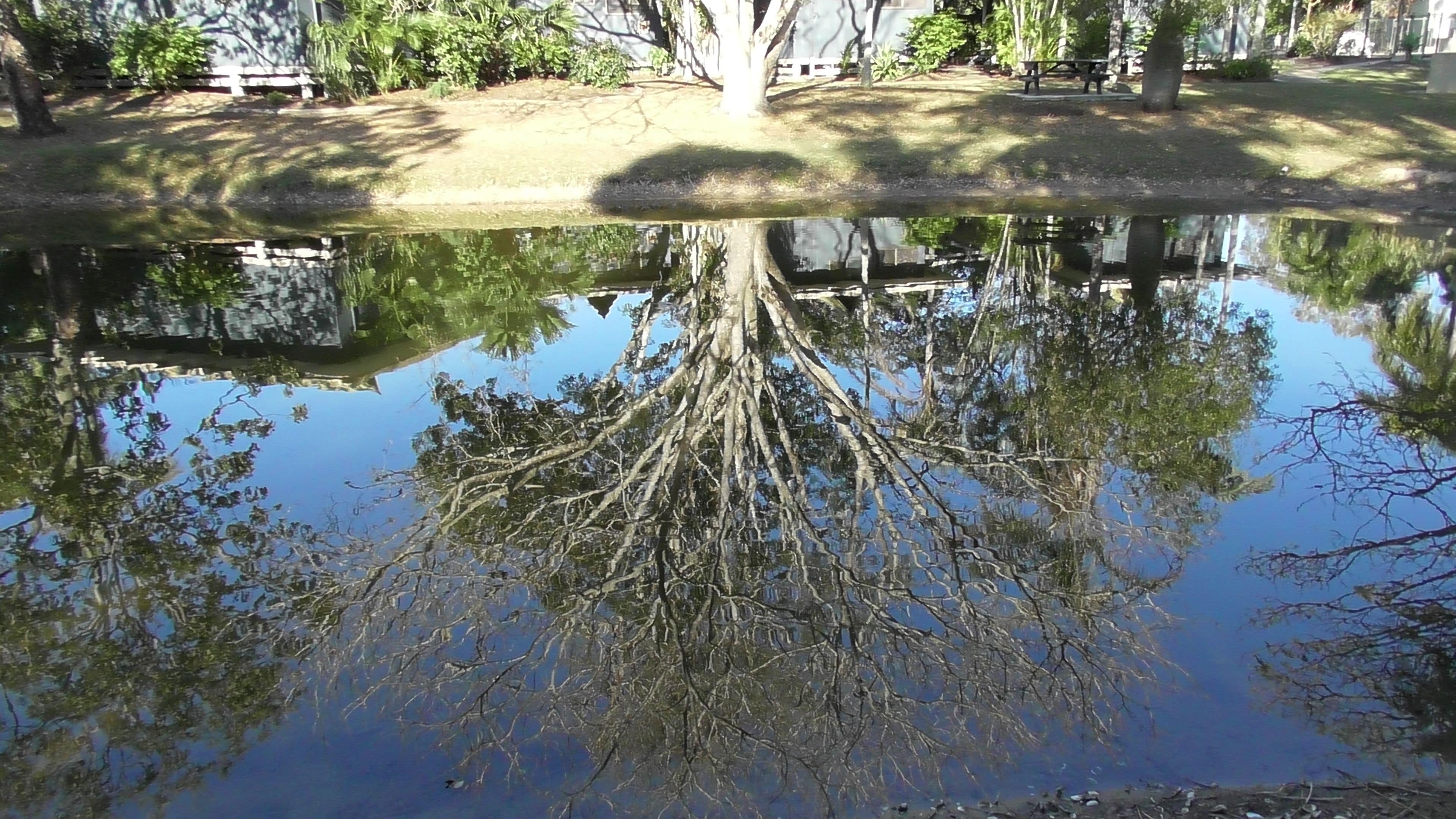 Sanctuary Lakes Fauna Retreat