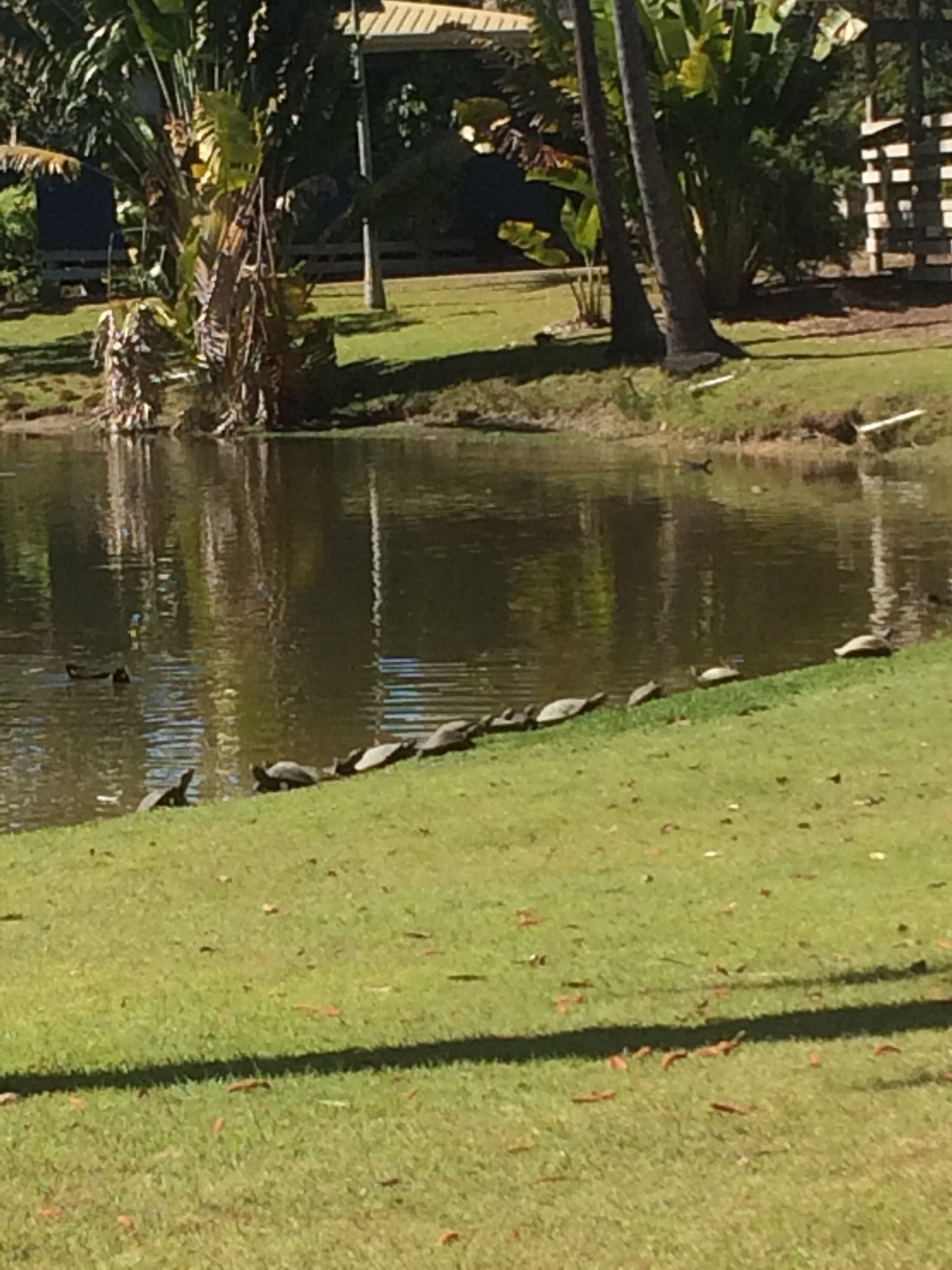 Sanctuary Lakes Fauna Retreat