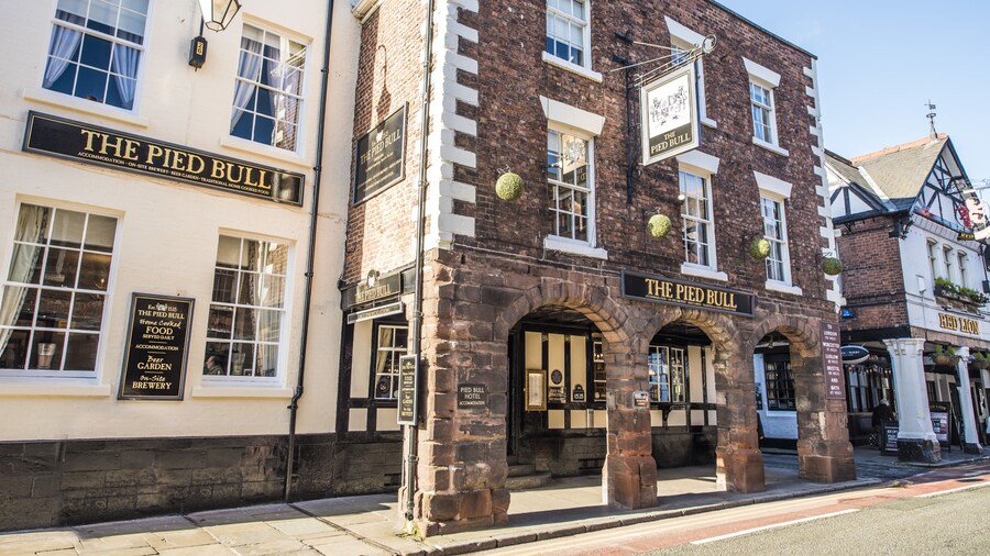 The Pied Bull