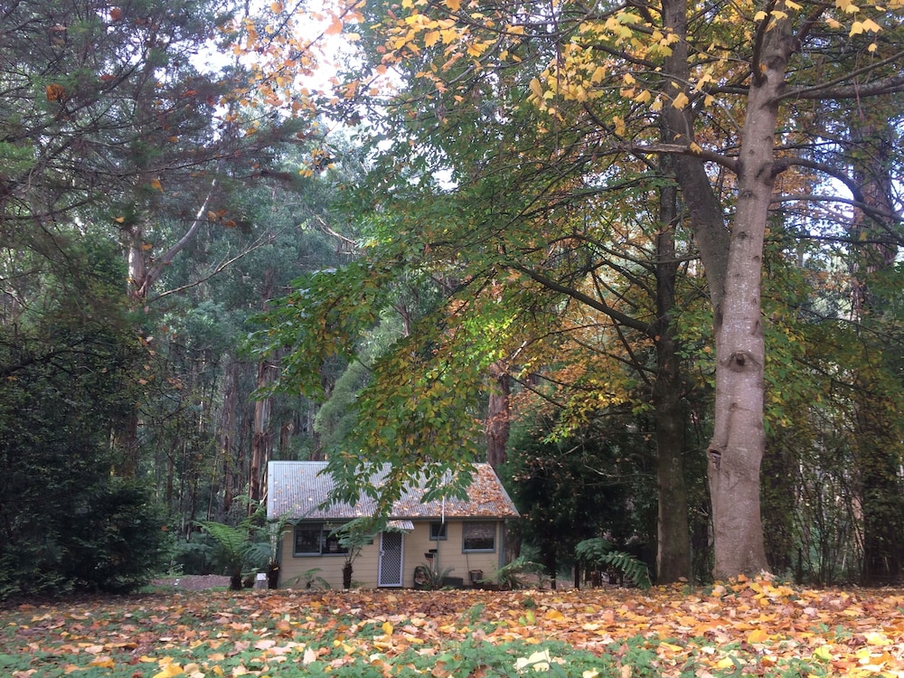 Hill ‘N’ Dale Farm Cottages