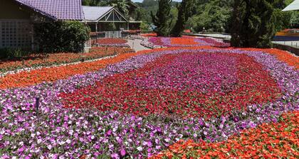 Hotel Unique Garden