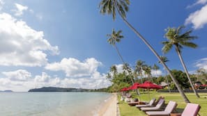 On the beach, free beach shuttle, beach umbrellas, beach towels