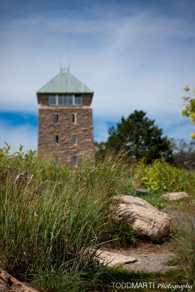 the overlook lodge bear mountain
