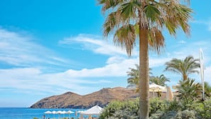 Private beach, windsurfing, rowing