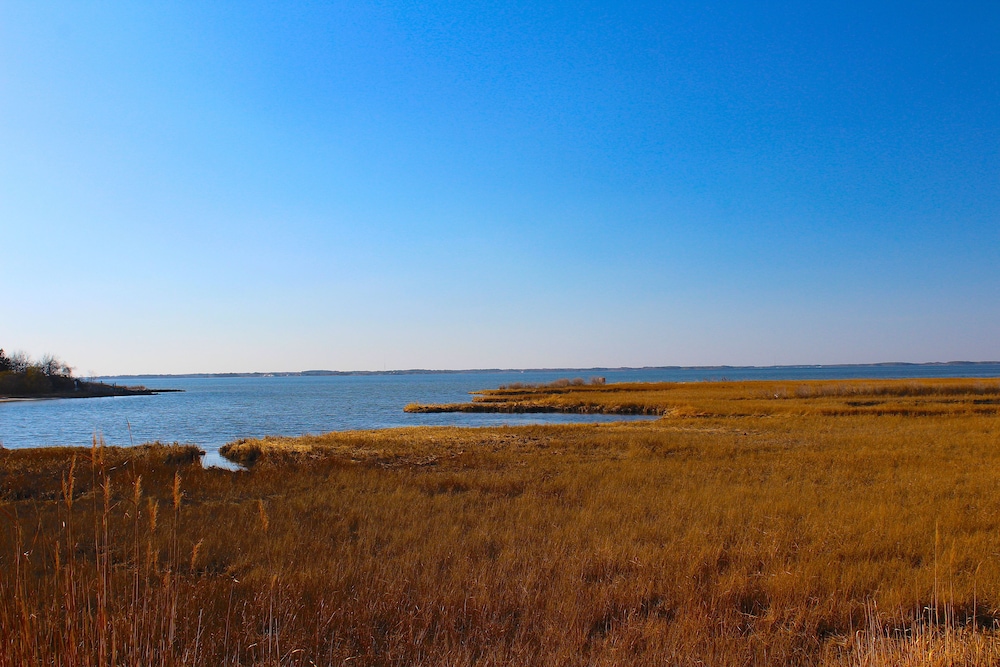 lucayan resort by kees vacations