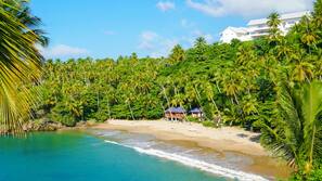 Private beach, sun loungers, beach umbrellas
