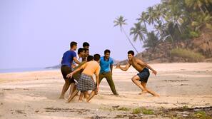 On the beach, white sand, beach volleyball, kayaking