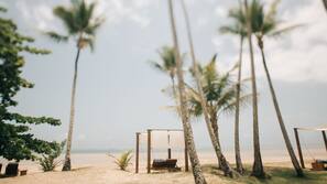 Na praia, espreguiçadeiras, passeios de caiaque