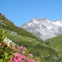 La Grange Aux Marmottes in Viscos, France