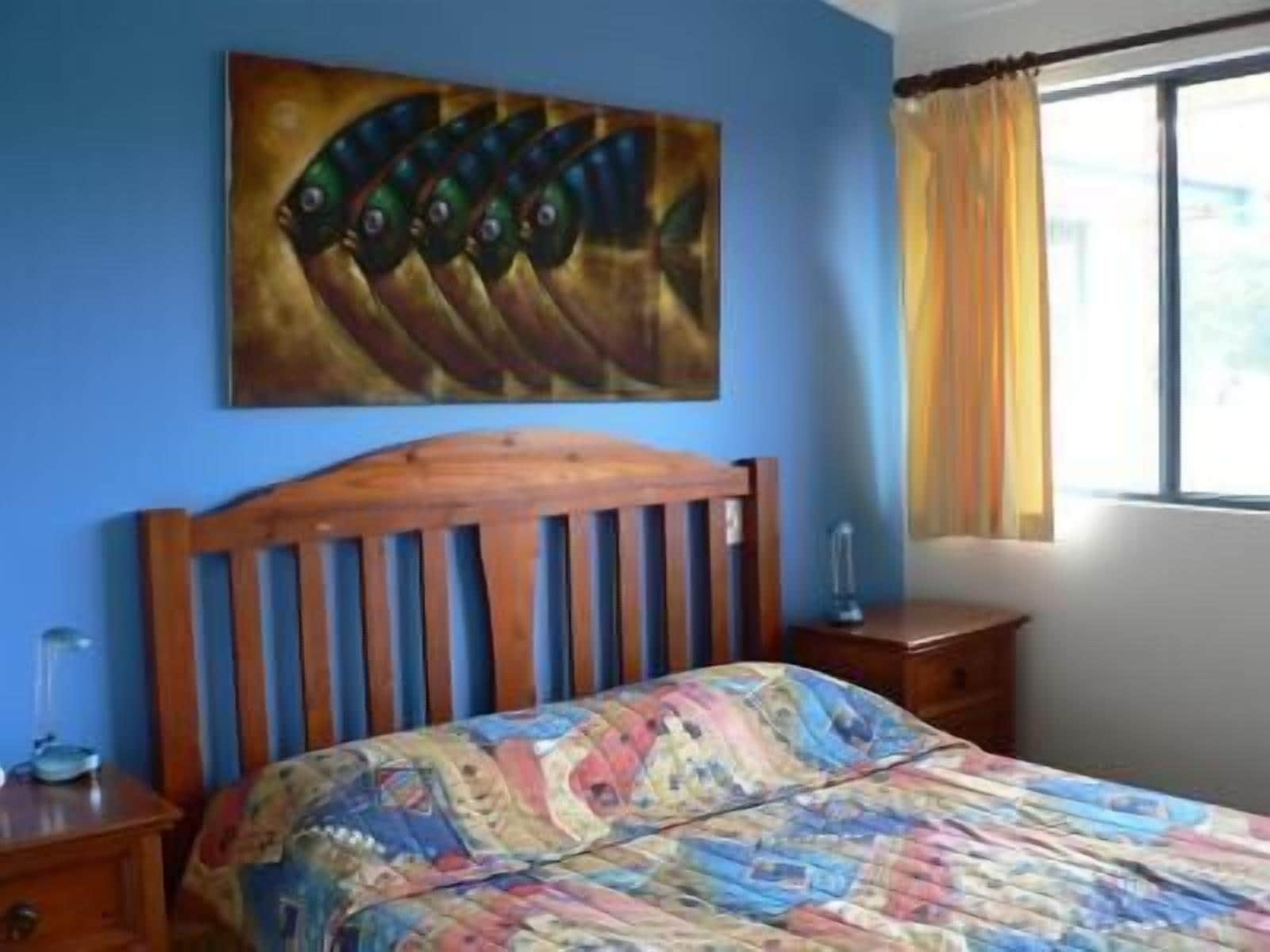 Dolphin Waters Tin Can Bay