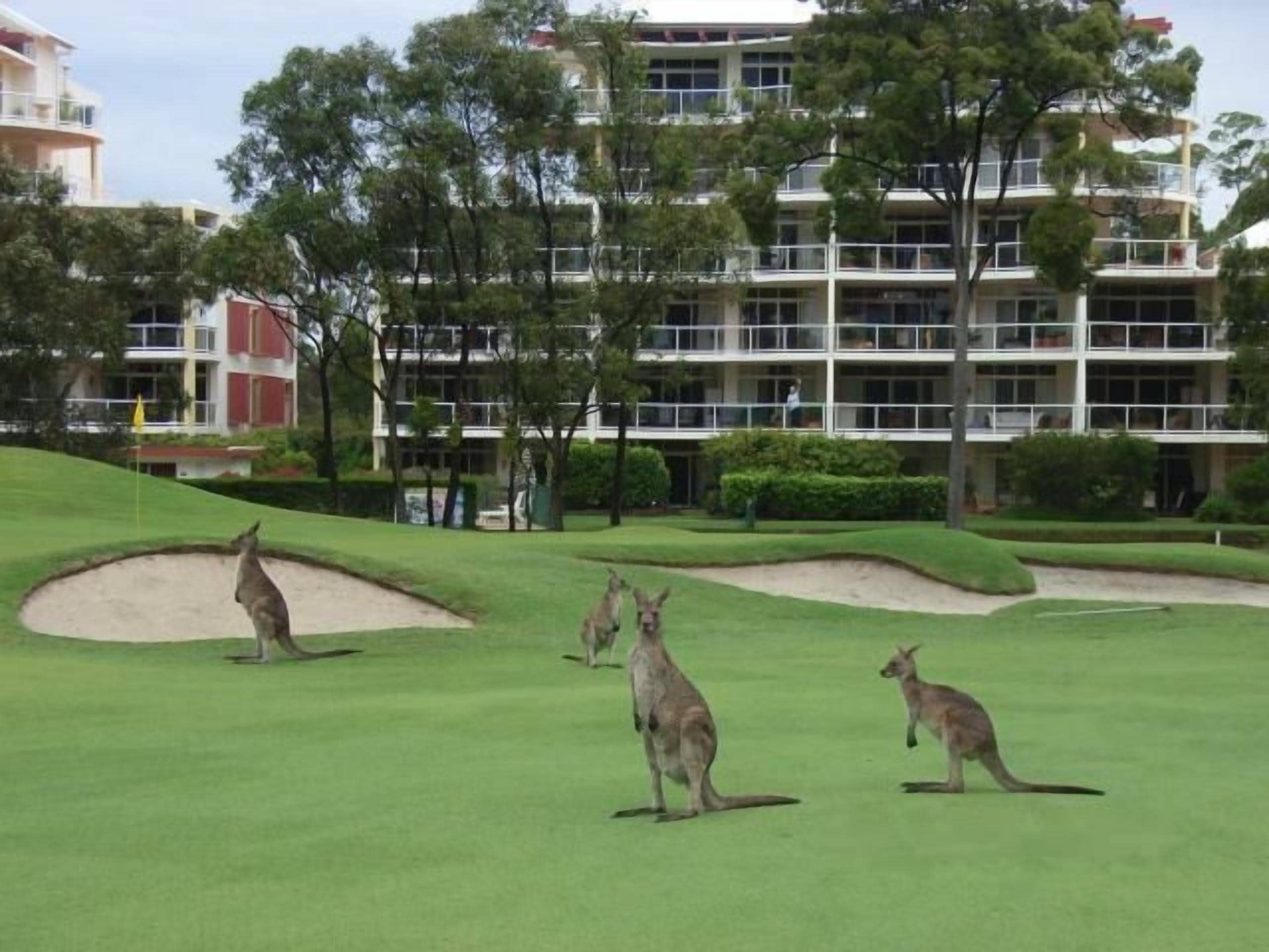 Magnolia Lane Apartments