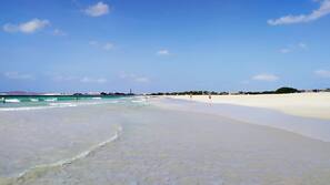 Plage, parasols, planche à voile, surf
