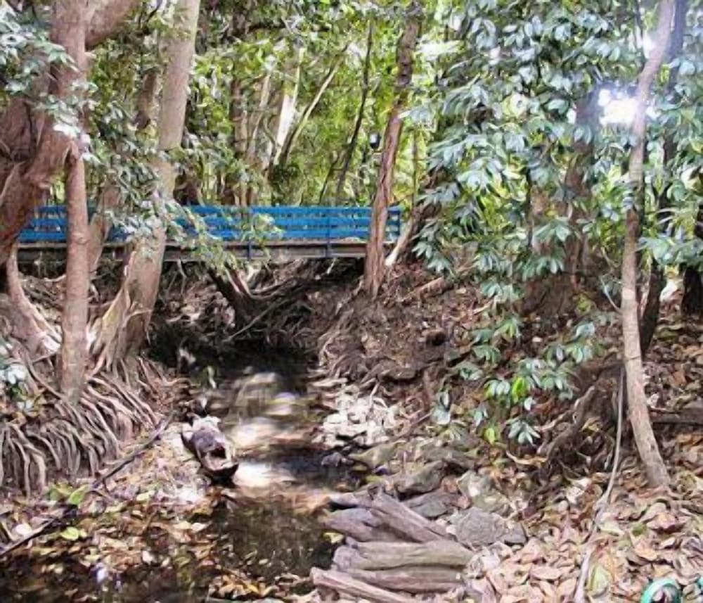 Rainforest Grove Holiday Resort