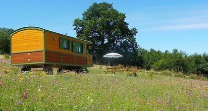 Les Roulottes des Korrigans-Caravan Park