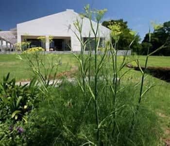 Kings Walden Garden Manor in Tzaneen, South Africa