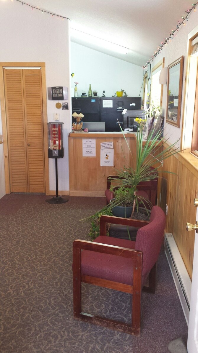 pet friendly hotels in fairplay colorado