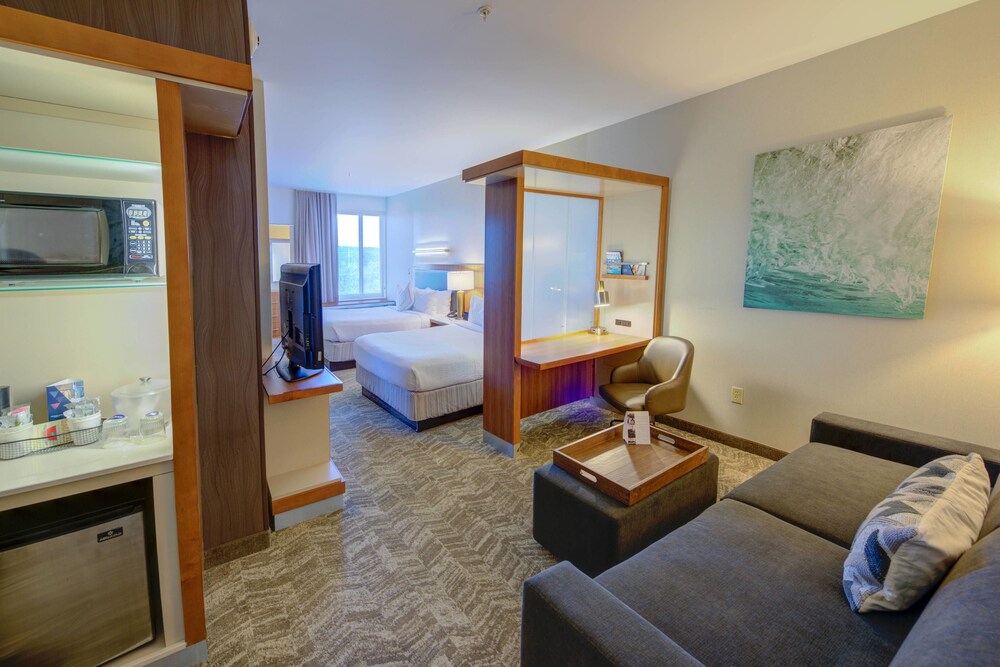 Room, SpringHill Suites by Marriott Macon