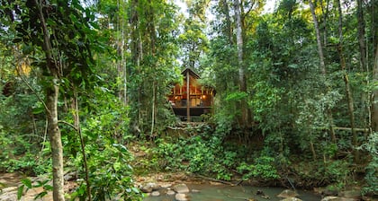 The Canopy Rainforest Treehouses and Wildlife Sanctuary