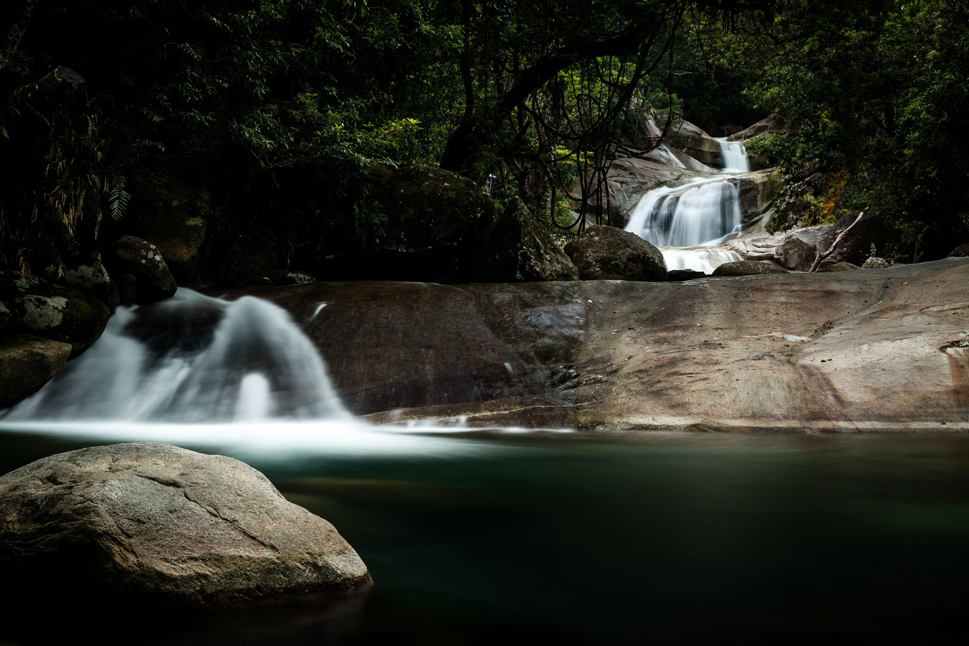 The Canopy Rainforest Treehouses and Wildlife Sanctuary