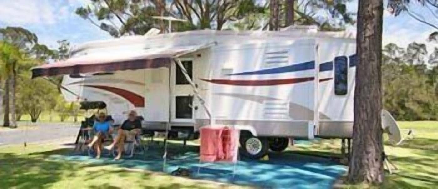 Gateway Lifestyle Lorikeet