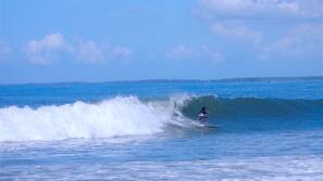 On the beach, black sand, free beach shuttle, beach towels