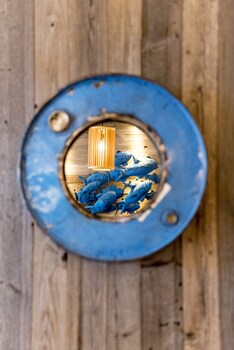 Hotel Albert Plage Deals Reviews Bruges Bel Wotif