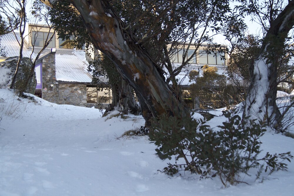 Property grounds, Snowy Gums Chalet