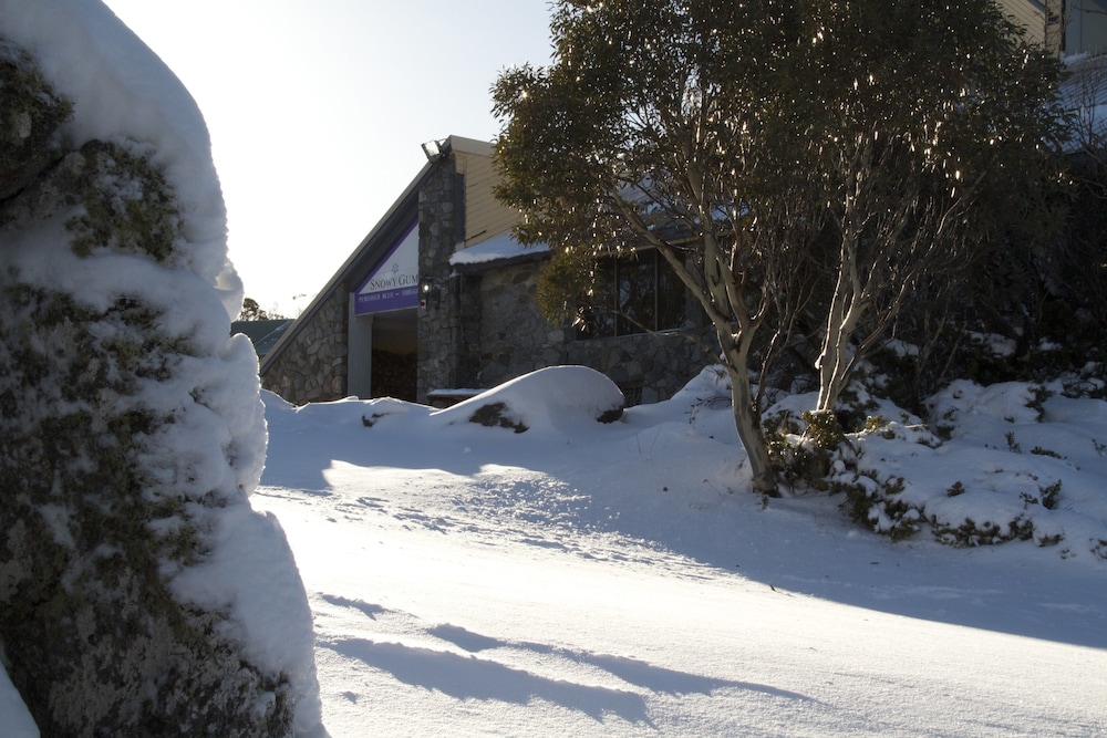 Property grounds, Snowy Gums Chalet