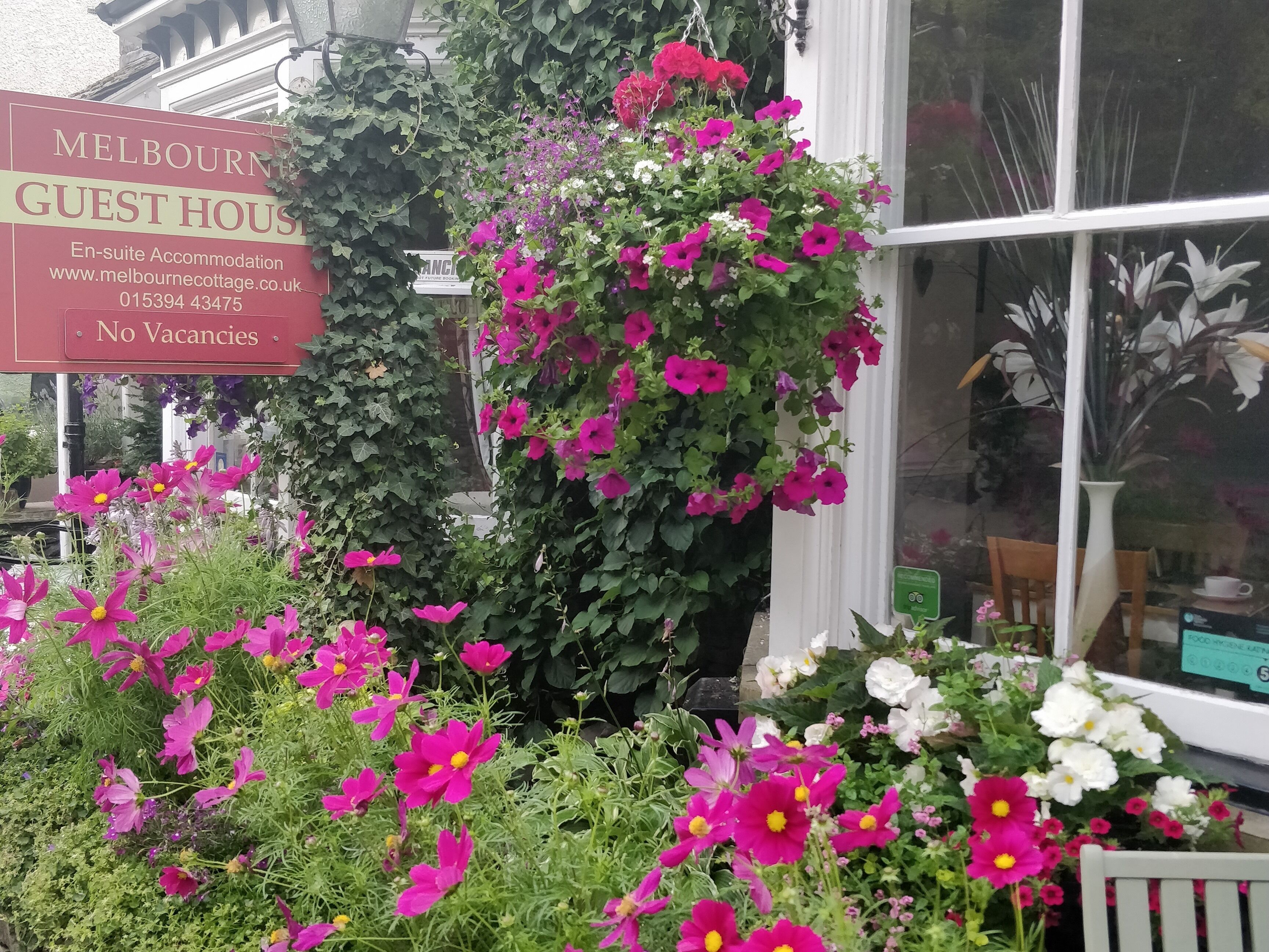 Melbourne Guest House (Windermere 