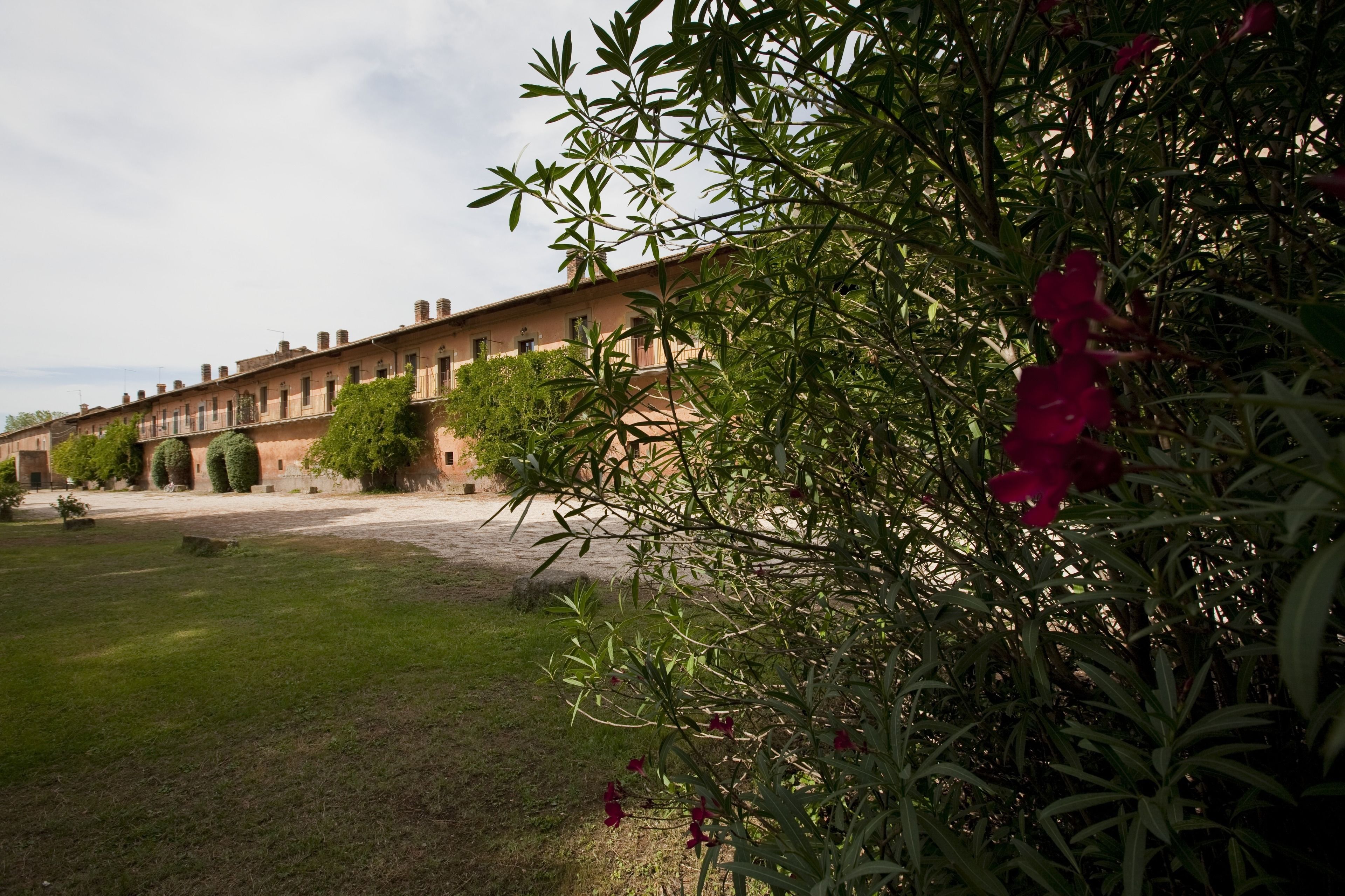 Agriturismo Pantano Borghese in Monte Compatri in Monte Compatri, Italy