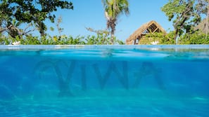 Outdoor pool, pool umbrellas, pool loungers
