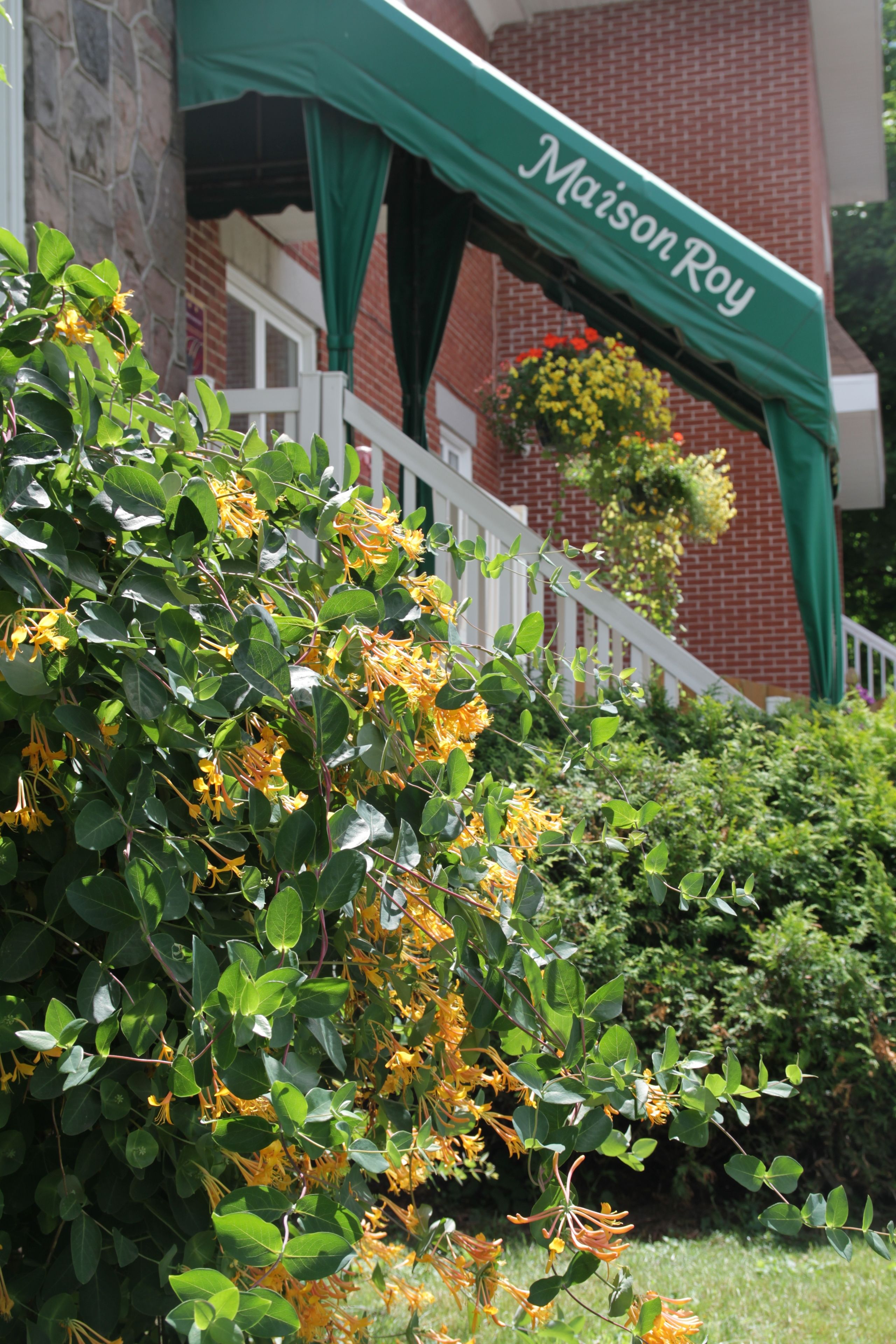 Auberge Maison Roy