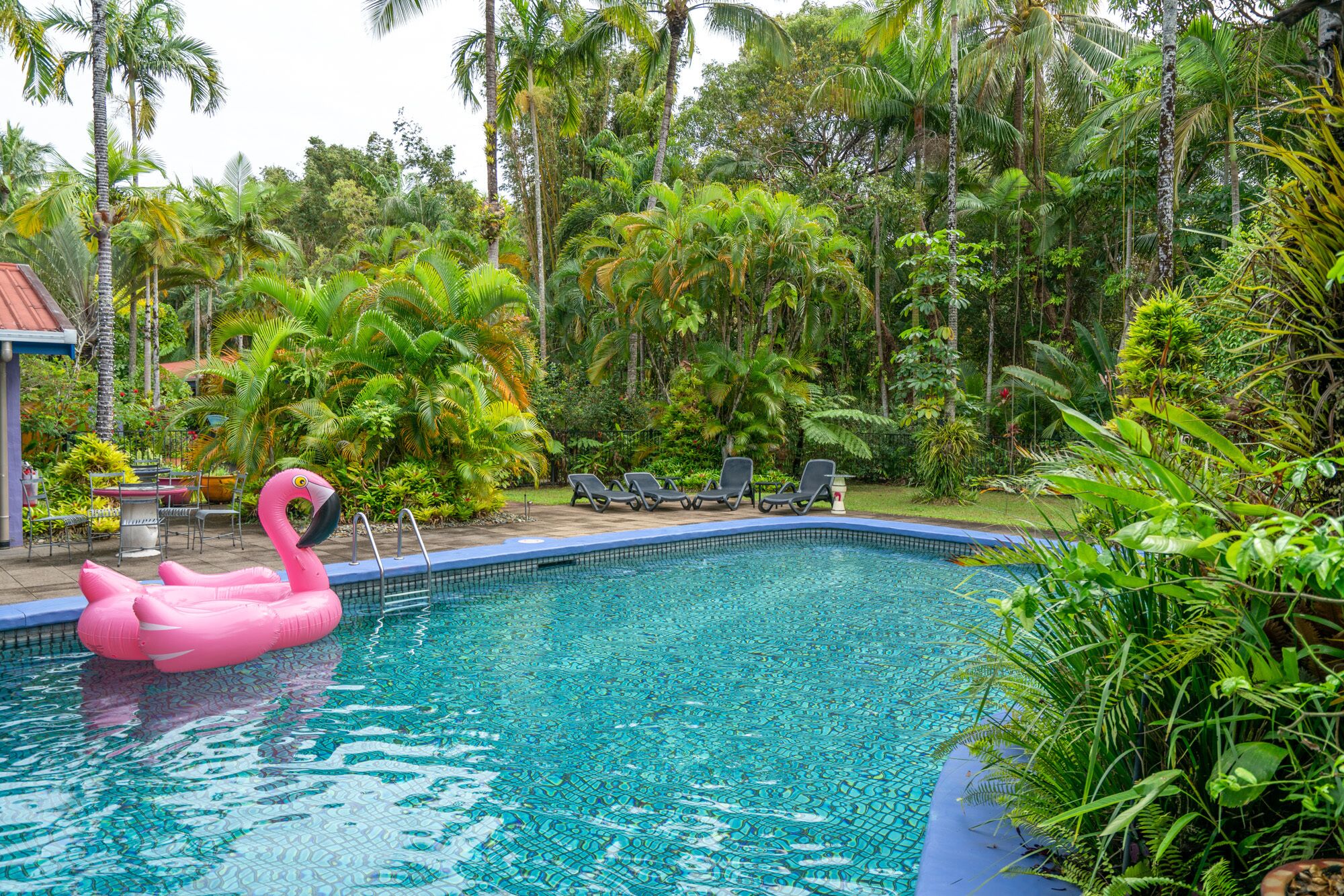 Pink Flamingo Resort