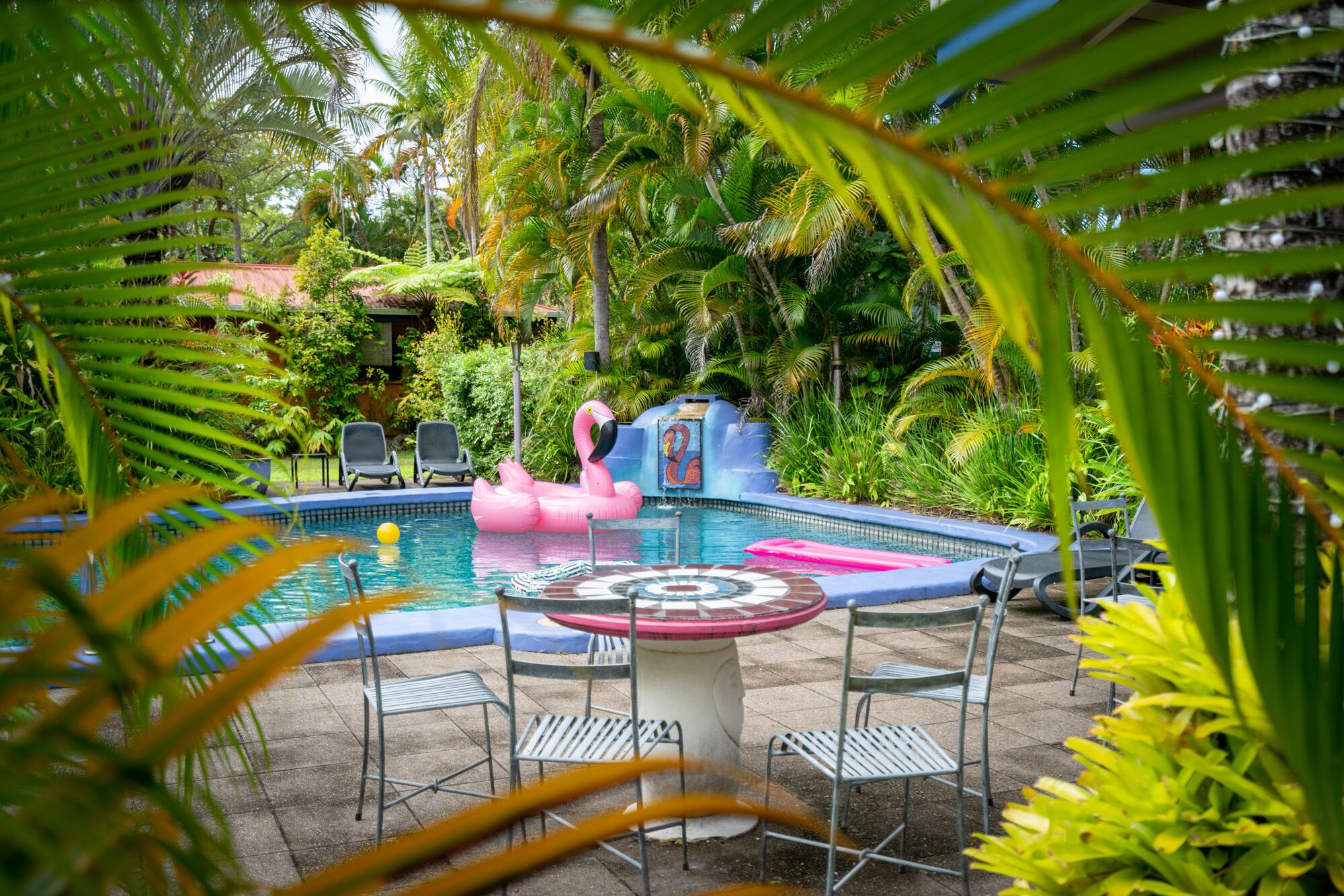 Pink Flamingo Resort