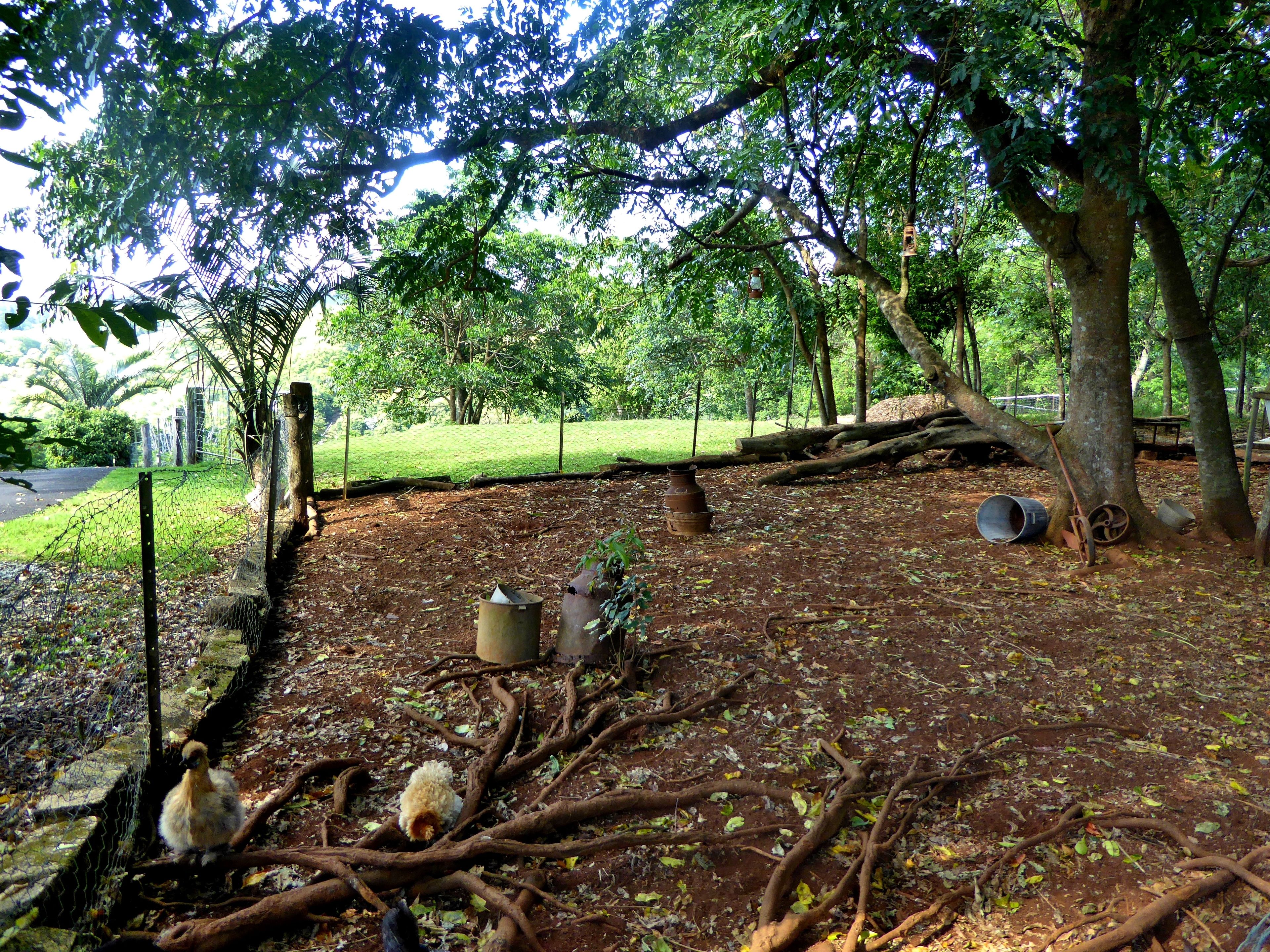 Alstonville Country Cottages