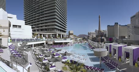 The Cosmopolitan Of Las Vegas Las Vegas 21 Updated Prices Expedia Co Uk The Cosmopolitan Of Las Vegas Las Vegas 21 Updated Prices Expedia Co Uk