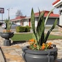 Regency Inn Eddyville in Eddyville, United States