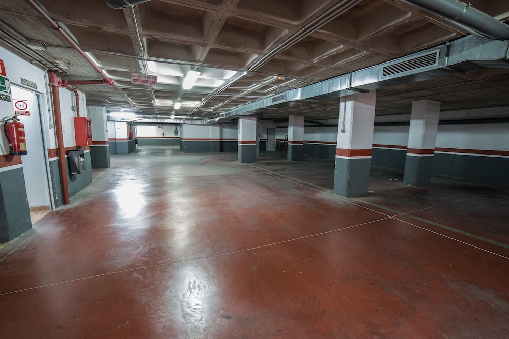 Photo - La Familia Gallo Rojo