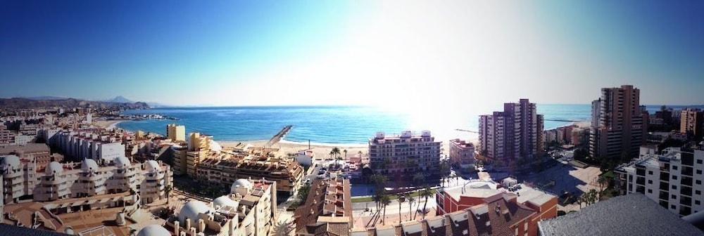 Photo - La Familia Gallo Rojo