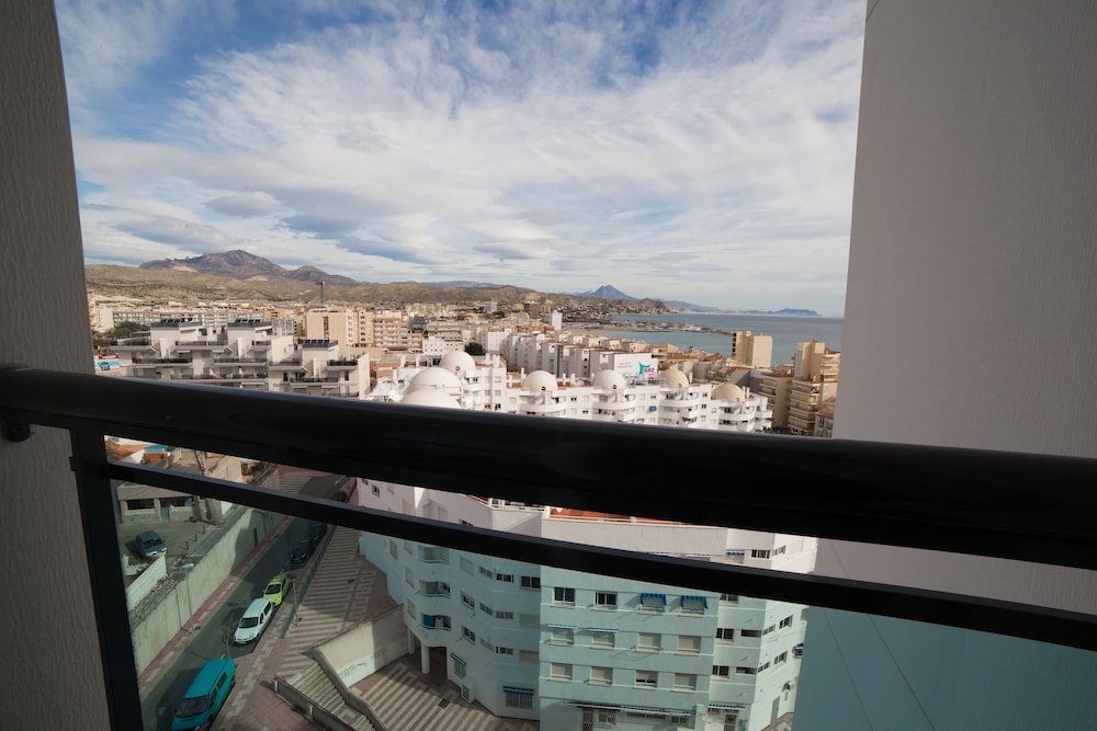 Photo - La Familia Gallo Rojo