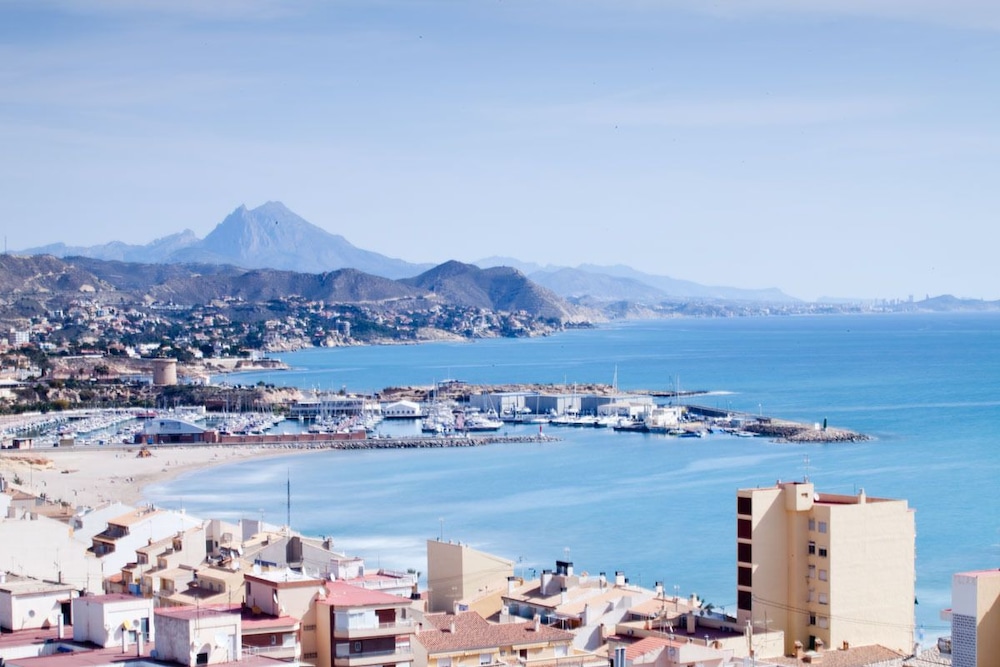 Photo - La Familia Gallo Rojo