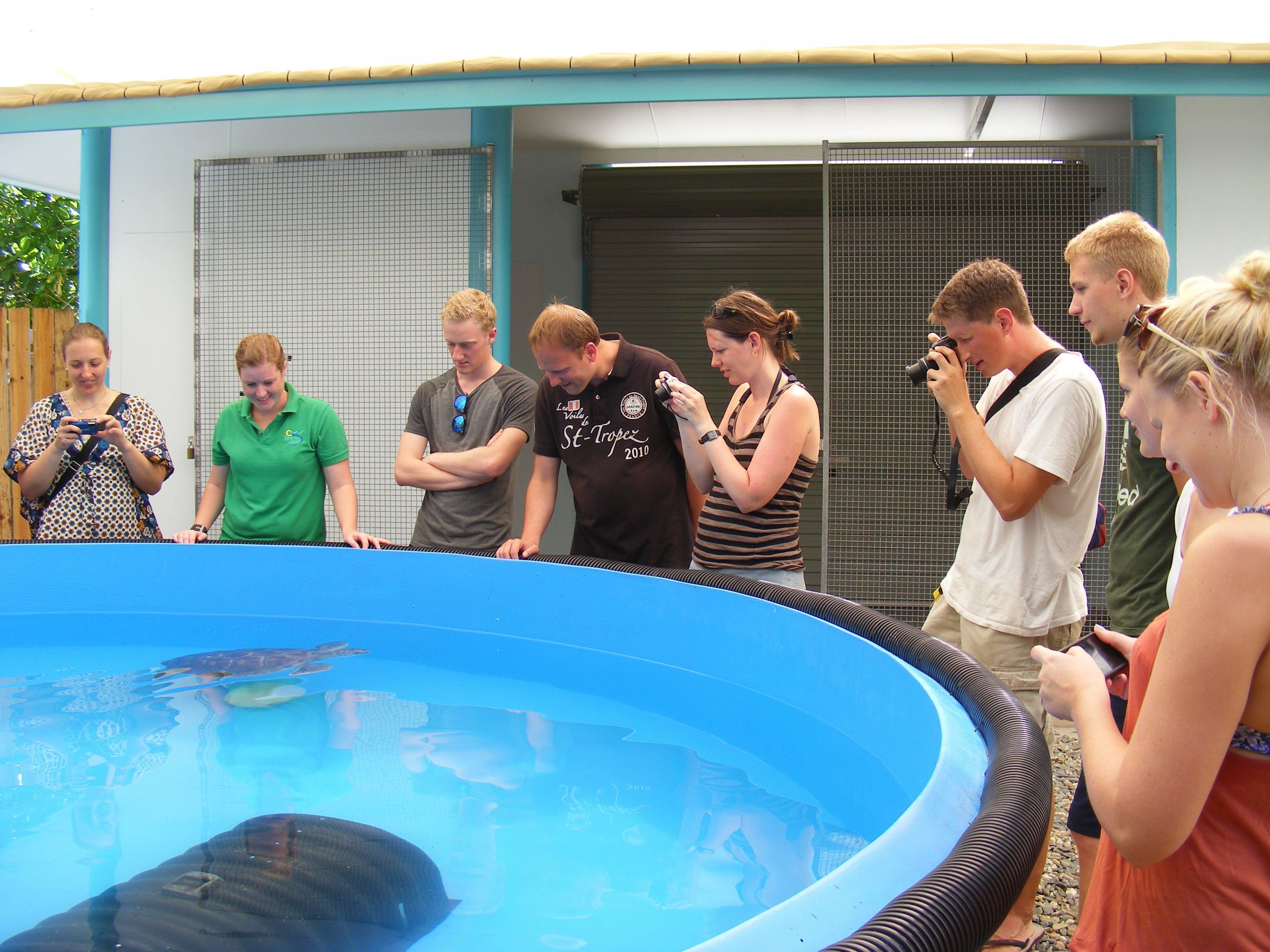 Fitzroy Island Resort