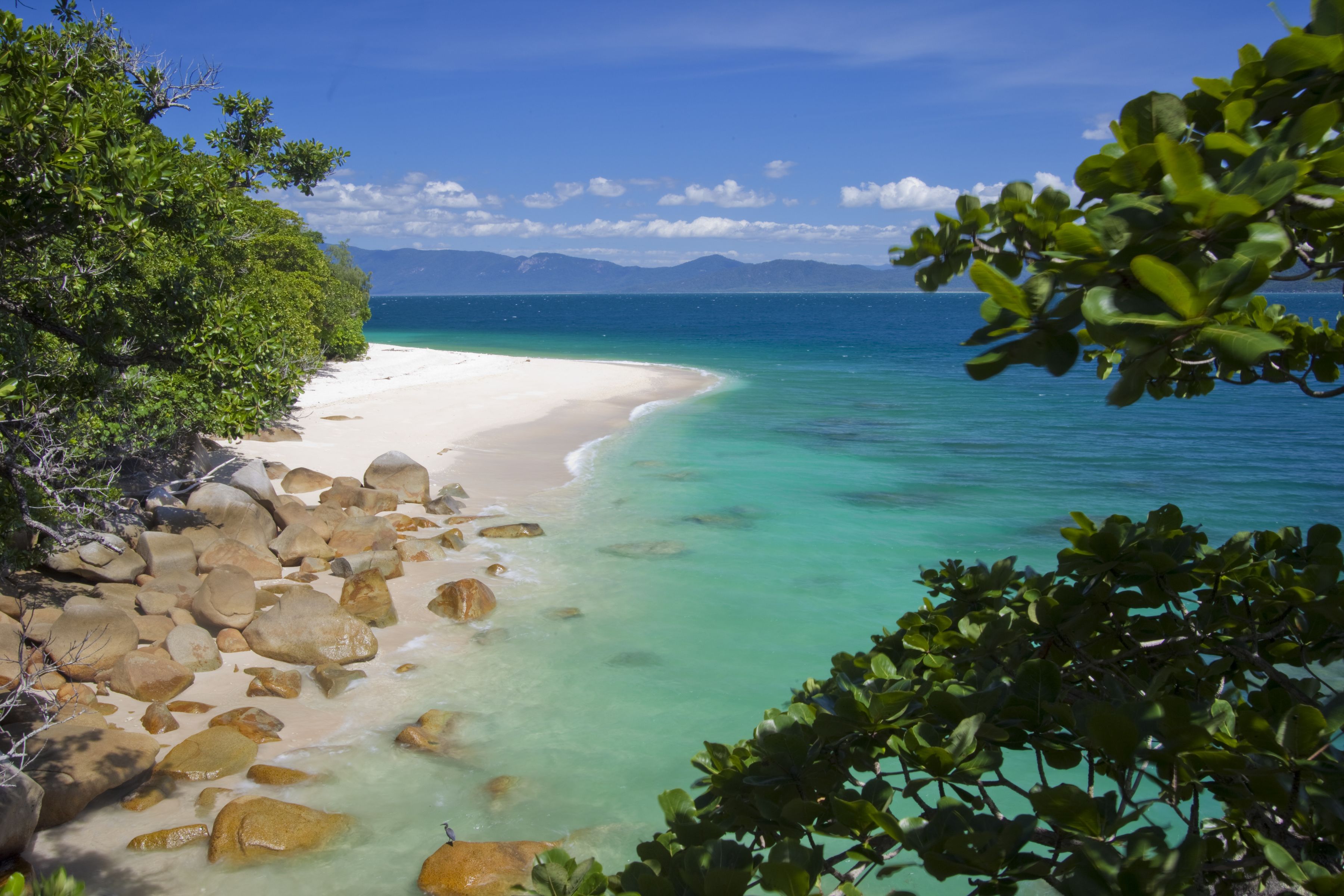 Fitzroy Island Resort