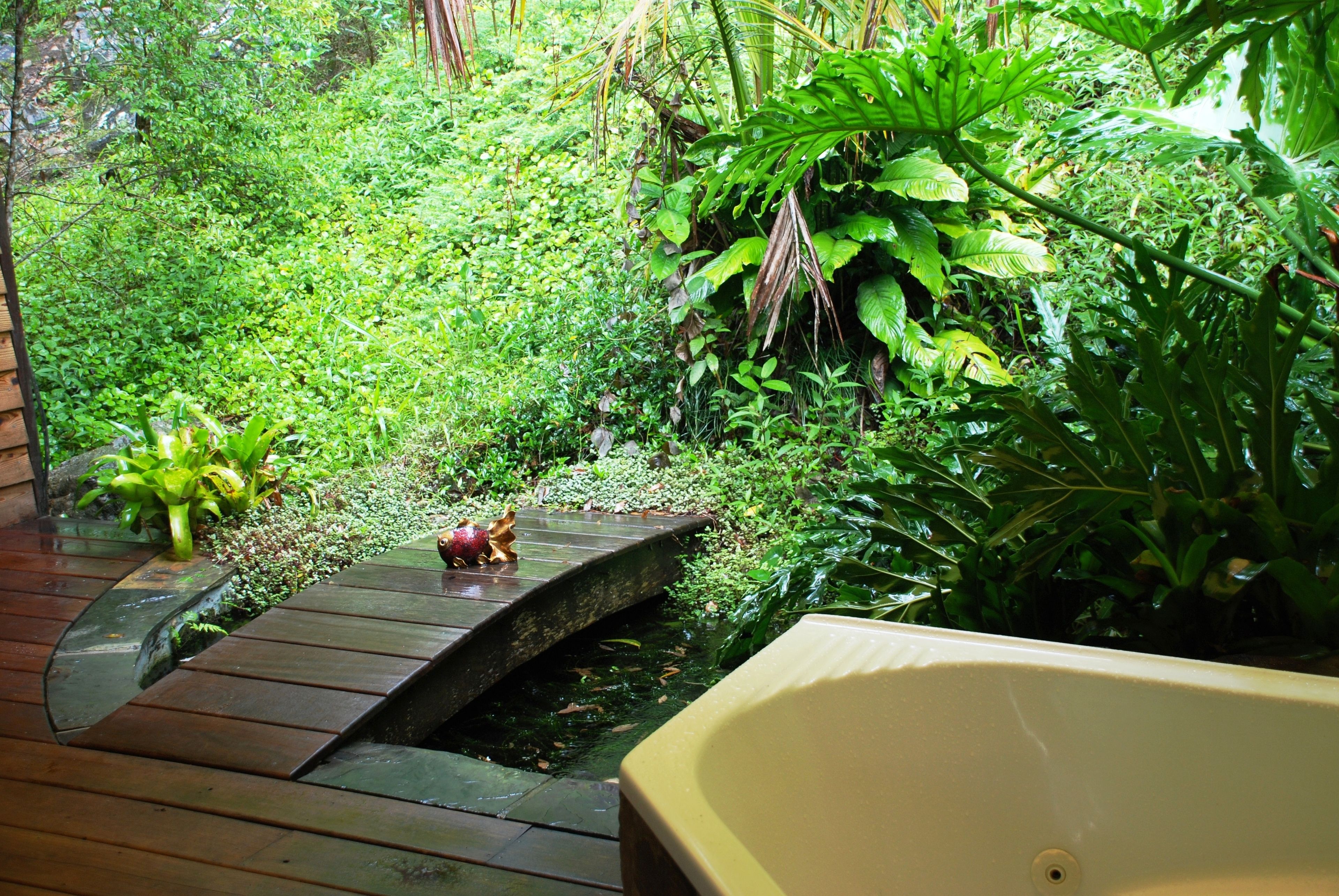 Mt Warning Rainforest Retreat