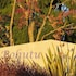 Pohutu Lodge Motel in Rotorua, New Zealand