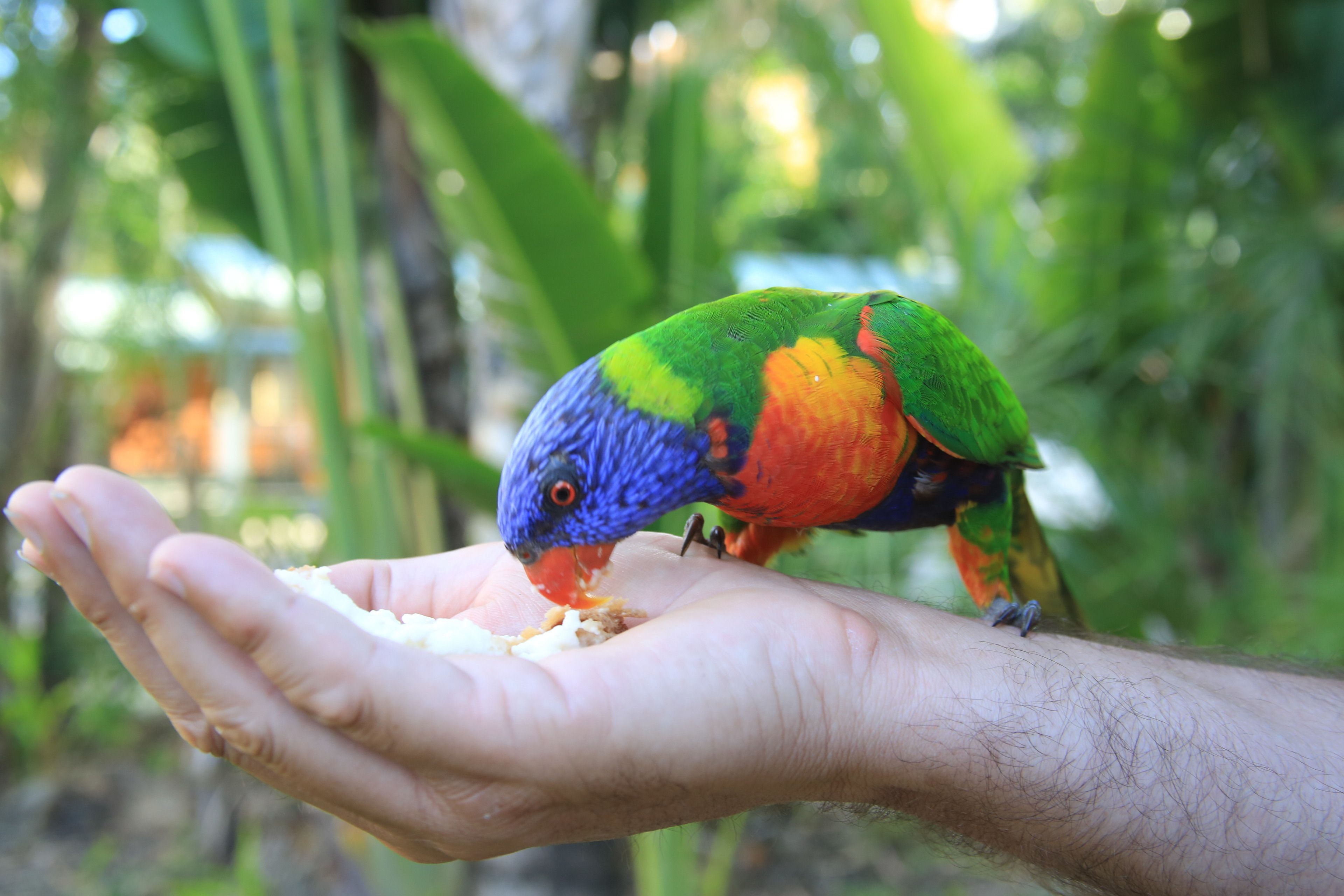 Island Gateway Holiday Park