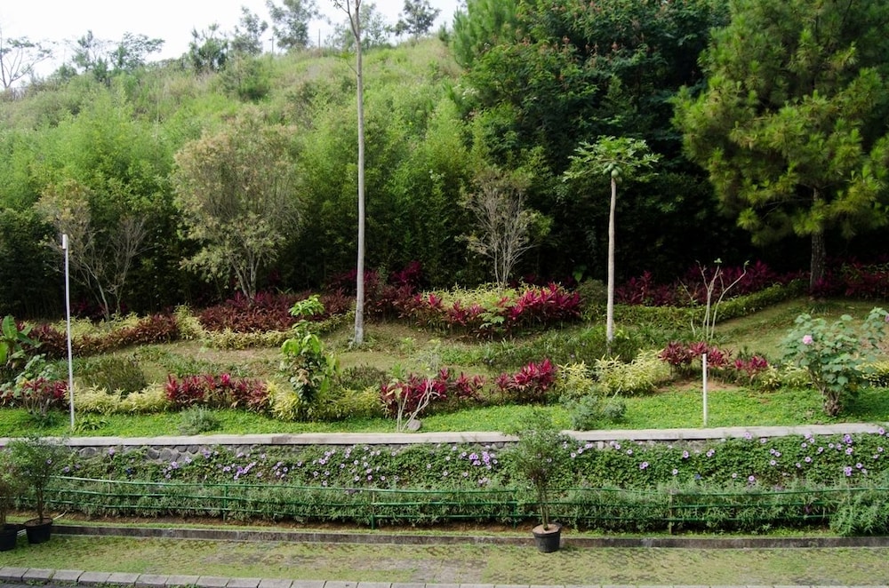 Puncak West Java Life Explorer