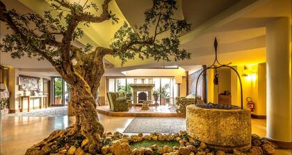 BV Grand Hotel Assisi
