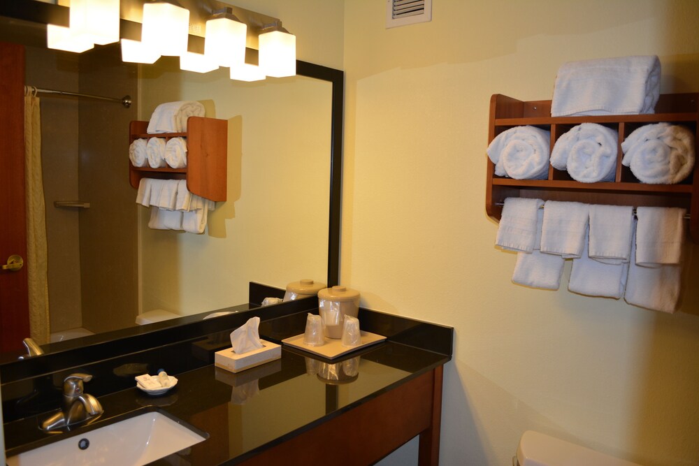 Bathroom, Clarion Hotel & Suites University - Shippensburg